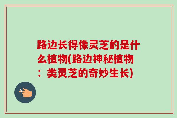 路边长得像灵芝的是什么植物(路边神秘植物：类灵芝的奇妙生长)