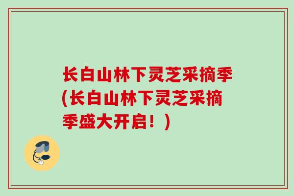 长白山林下灵芝采摘季(长白山林下灵芝采摘季盛大开启!) 长白山林下灵芝采摘季(长白山林下灵芝采摘季盛大开启!)