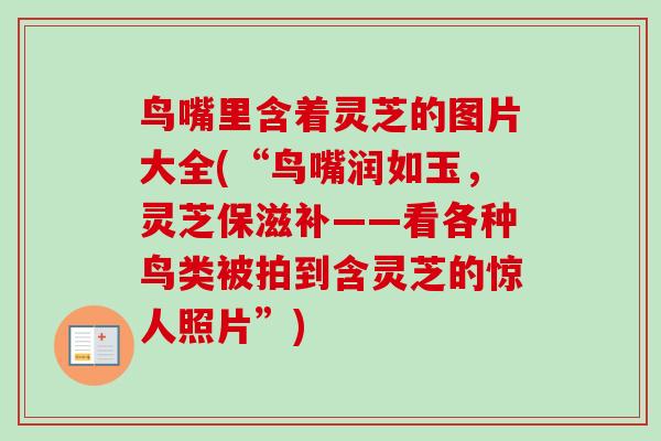 鸟嘴里含着灵芝的图片大全(“鸟嘴润如玉,灵芝保滋补——看各种鸟类被拍到含灵芝的惊人照片”) 鸟嘴里含着灵芝的图片大全(“鸟嘴润如玉,灵芝保滋补——看各种鸟类被拍到含灵芝的惊人照片”)