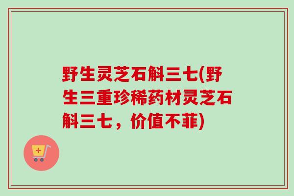 野生灵芝石斛三七(野生三重珍稀药材灵芝石斛三七,价值不菲) 野生灵芝石斛三七(野生三重珍稀药材灵芝石斛三七,价值不菲)