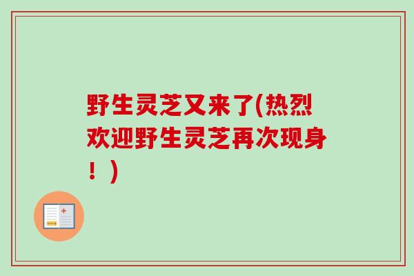 野生灵芝又来了(热烈欢迎野生灵芝再次现身!) 野生灵芝又来了(热烈欢迎野生灵芝再次现身!)