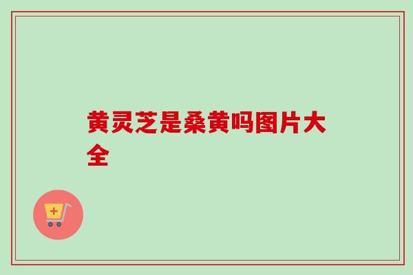 黄灵芝是桑黄吗图片大全 黄灵芝是桑黄吗图片大全