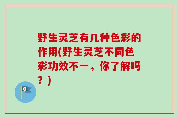 野生灵芝有几种色彩的作用(野生灵芝不同色彩功效不一，你了解吗？)