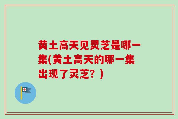 黄土高天见灵芝是哪一集(黄土高天的哪一集出现了灵芝?) 黄土高天见灵芝是哪一集(黄土高天的哪一集出现了灵芝?)