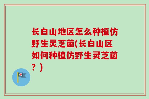 长白山地区怎么种植仿野生灵芝菌(长白山区如何种植仿野生灵芝菌？)
