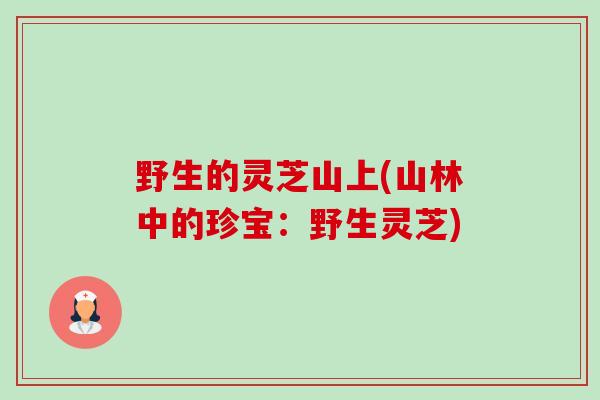 野生的灵芝山上(山林中的珍宝:野生灵芝) 野生的灵芝山上(山林中的珍宝:野生灵芝)