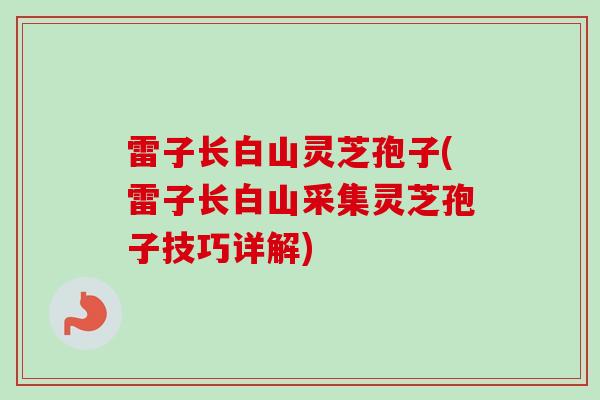 雷子长白山灵芝孢子(雷子长白山采集灵芝孢子技巧详解) 雷子长白山灵芝孢子(雷子长白山采集灵芝孢子技巧详解)
