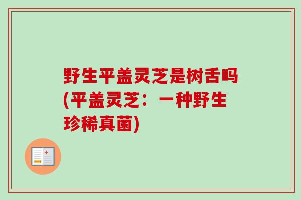 野生平盖灵芝是树舌吗(平盖灵芝:一种野生珍稀真菌) 野生平盖灵芝是树舌吗(平盖灵芝:一种野生珍稀真菌)