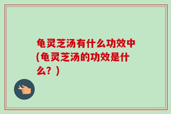 龟灵芝汤有什么功效中(龟灵芝汤的功效是什么?) 龟灵芝汤有什么功效中(龟灵芝汤的功效是什么?)