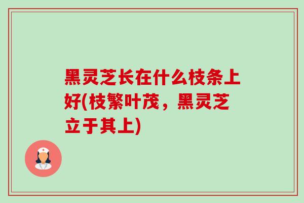 黑灵芝长在什么枝条上好(枝繁叶茂,黑灵芝立于其上) 黑灵芝长在什么枝条上好(枝繁叶茂,黑灵芝立于其上)