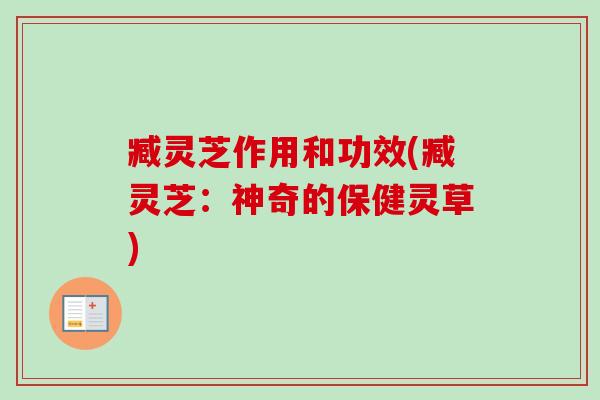 臧灵芝作用和功效(臧灵芝:神奇的保健灵草) 臧灵芝作用和功效(臧灵芝:神奇的保健灵草)