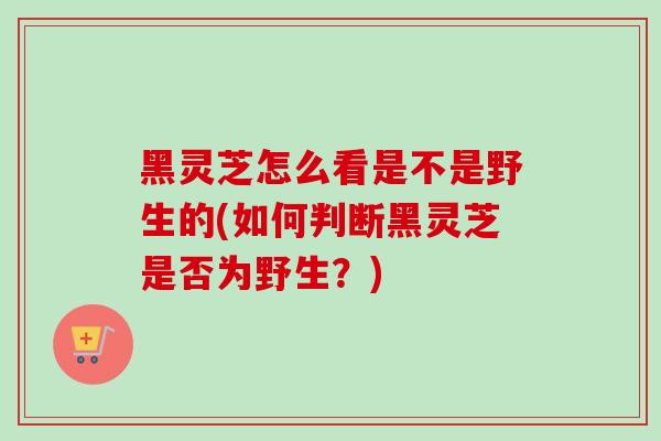 黑灵芝怎么看是不是野生的(如何判断黑灵芝是否为野生?) 黑灵芝怎么看是不是野生的(如何判断黑灵芝是否为野生?)