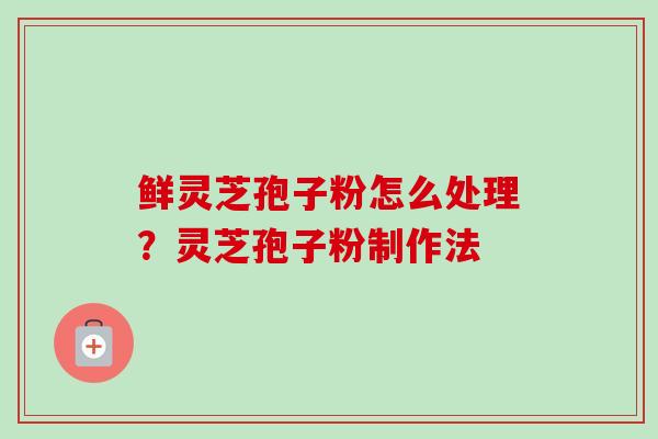 鲜灵芝孢子粉怎么处理?灵芝孢子粉制作法 鲜灵芝孢子粉怎么处理?灵芝孢子粉制作法