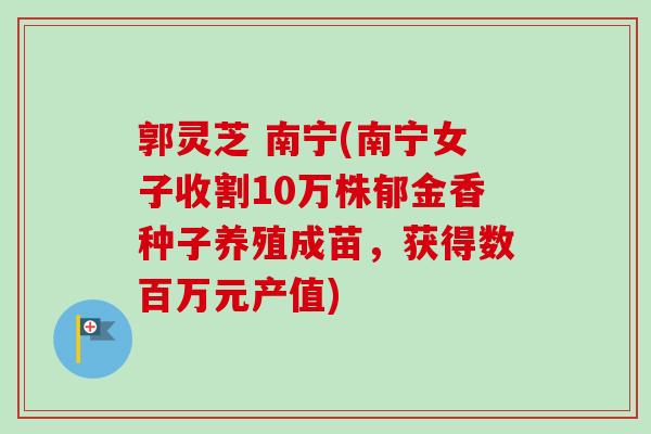 郭灵芝 南宁(南宁女子收割10万株郁金香种子养殖成苗,获得数百万元产值) 郭灵芝 南宁(南宁女子收割10万株郁金香种子养殖成苗,获得数百万元产值)