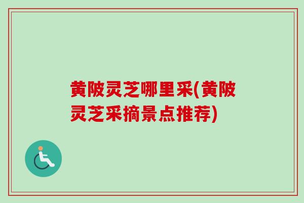 黄陂灵芝哪里采(黄陂灵芝采摘景点推荐) 黄陂灵芝哪里采(黄陂灵芝采摘景点推荐)