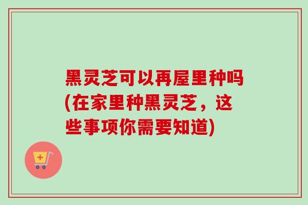 黑灵芝可以再屋里种吗(在家里种黑灵芝，这些事项你需要知道)