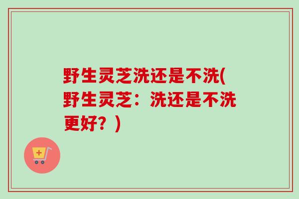 野生灵芝洗还是不洗(野生灵芝:洗还是不洗更好?) 野生灵芝洗还是不洗(野生灵芝:洗还是不洗更好?)