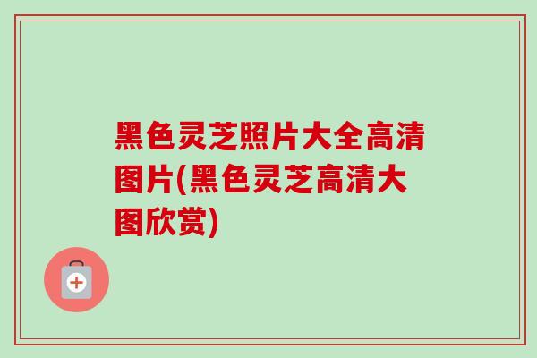 黑色灵芝照片大全高清图片(黑色灵芝高清大图欣赏) 黑色灵芝照片大全高清图片(黑色灵芝高清大图欣赏)