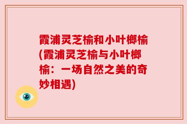 霞浦灵芝榆和小叶榔榆(霞浦灵芝榆与小叶榔榆：一场自然之美的奇妙相遇)