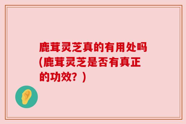 鹿茸灵芝真的有用处吗(鹿茸灵芝是否有真正的功效?) 鹿茸灵芝真的有用处吗(鹿茸灵芝是否有真正的功效?)