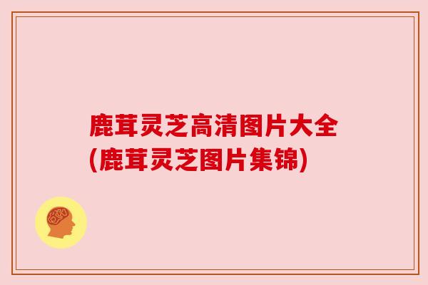 鹿茸灵芝高清图片大全(鹿茸灵芝图片集锦) 鹿茸灵芝高清图片大全(鹿茸灵芝图片集锦)