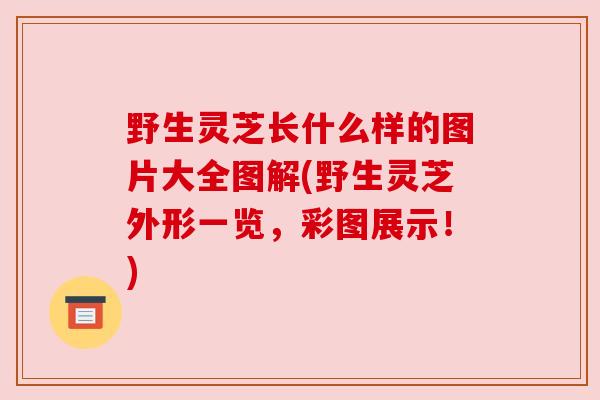 野生灵芝长什么样的图片大全图解(野生灵芝外形一览，彩图展示！)