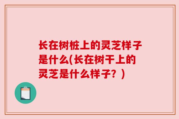 长在树桩上的灵芝样子是什么(长在树干上的灵芝是什么样子?) 长在树桩上的灵芝样子是什么(长在树干上的灵芝是什么样子?)