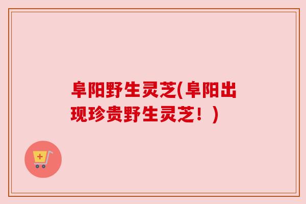 阜阳野生灵芝(阜阳出现珍贵野生灵芝!) 阜阳野生灵芝(阜阳出现珍贵野生灵芝!)