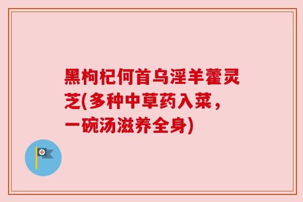 黑枸杞何首乌淫羊藿灵芝(多种中草药入菜,一碗汤滋养全身) 黑枸杞何首乌淫羊藿灵芝(多种中草药入菜,一碗汤滋养全身)
