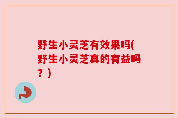 野生小灵芝有效果吗(野生小灵芝真的有益吗?) 野生小灵芝有效果吗(野生小灵芝真的有益吗?)