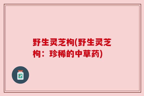 野生灵芝枸(野生灵芝枸：珍稀的中草药)