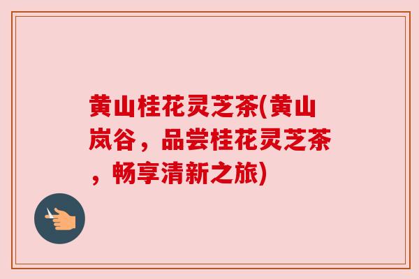 黄山桂花灵芝茶(黄山岚谷,品尝桂花灵芝茶,畅享清新之旅) 黄山桂花灵芝茶(黄山岚谷,品尝桂花灵芝茶,畅享清新之旅)