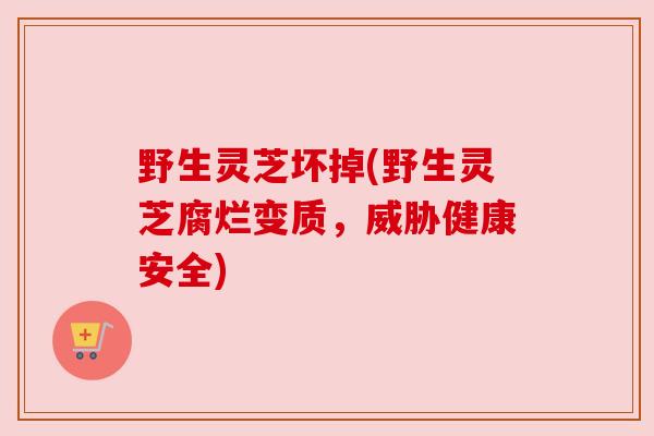 野生灵芝坏掉(野生灵芝腐烂变质,威胁健康安全) 野生灵芝坏掉(野生灵芝腐烂变质,威胁健康安全)