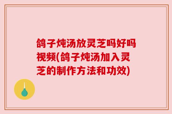 鸽子炖汤放灵芝吗好吗视频(鸽子炖汤加入灵芝的制作方法和功效)