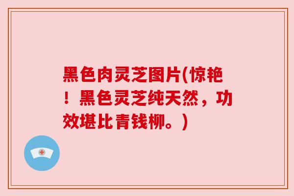 黑色肉灵芝图片(惊艳！黑色灵芝纯天然，功效堪比青钱柳。)