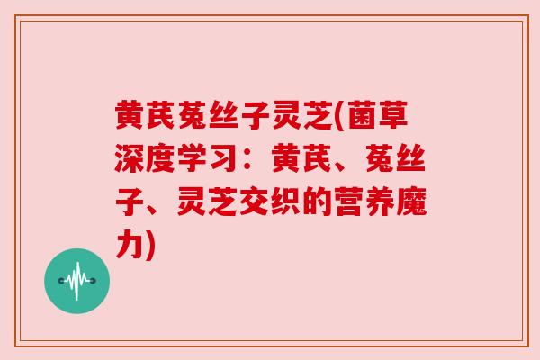 黄芪菟丝子灵芝(菌草深度学习:黄芪、菟丝子、灵芝交织的营养魔力) 黄芪菟丝子灵芝(菌草深度学习:黄芪、菟丝子、灵芝交织的营养魔力)