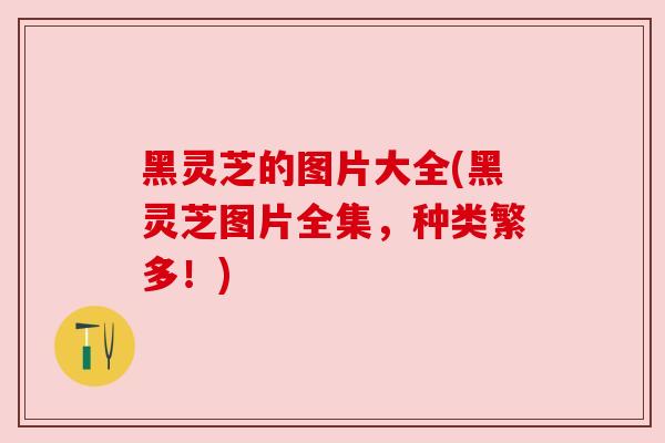 黑灵芝的图片大全(黑灵芝图片全集,种类繁多!) 黑灵芝的图片大全(黑灵芝图片全集,种类繁多!)