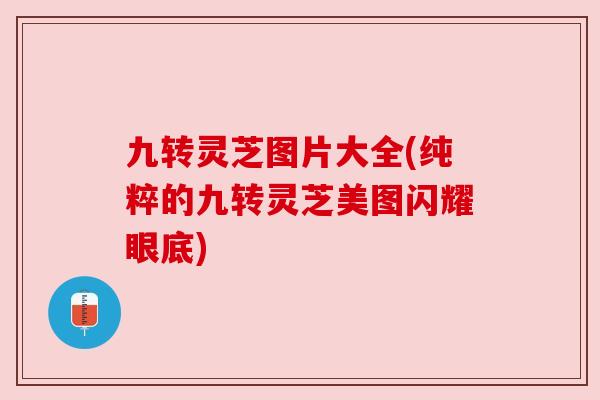 九转灵芝图片大全(纯粹的九转灵芝美图闪耀眼底) 九转灵芝图片大全(纯粹的九转灵芝美图闪耀眼底)