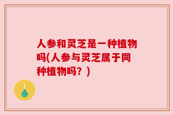 人参和灵芝是一种植物吗(人参与灵芝属于同种植物吗？)
