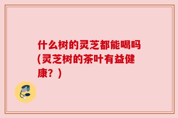 什么树的灵芝都能喝吗(灵芝树的茶叶有益健康？)