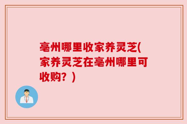 亳州哪里收家养灵芝(家养灵芝在亳州哪里可收购?) 亳州哪里收家养灵芝(家养灵芝在亳州哪里可收购?)