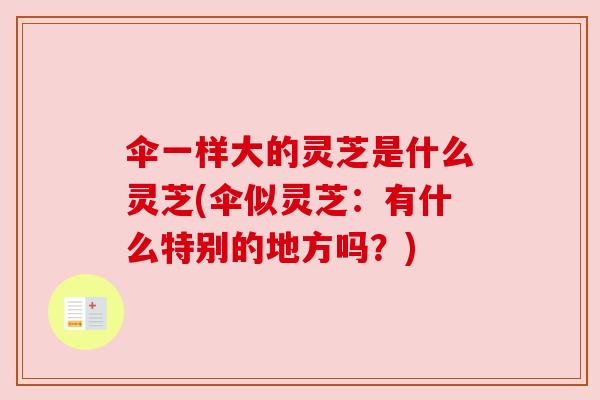 伞一样大的灵芝是什么灵芝(伞似灵芝:有什么特别的地方吗?) 伞一样大的灵芝是什么灵芝(伞似灵芝:有什么特别的地方吗?)
