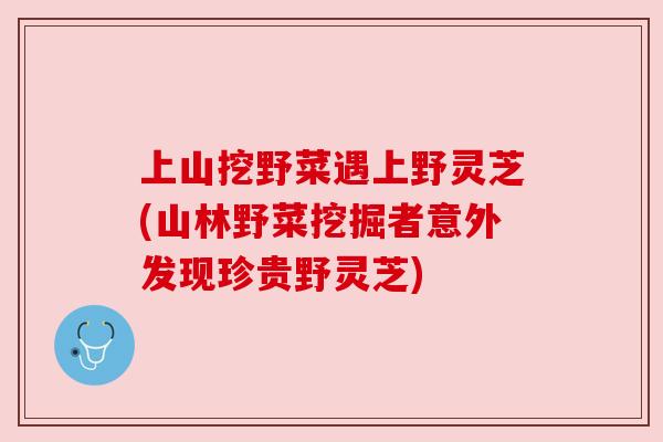 上山挖野菜遇上野灵芝(山林野菜挖掘者意外发现珍贵野灵芝)