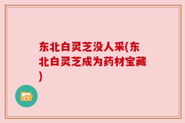 东北白灵芝没人采(东北白灵芝成为药材宝藏) 东北白灵芝没人采(东北白灵芝成为药材宝藏)