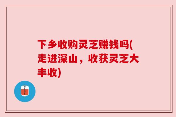 下乡收购灵芝赚钱吗(走进深山,收获灵芝大丰收) 下乡收购灵芝赚钱吗(走进深山,收获灵芝大丰收)
