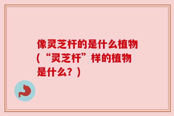 像灵芝杆的是什么植物(“灵芝杆”样的植物是什么?) 像灵芝杆的是什么植物(“灵芝杆”样的植物是什么?)