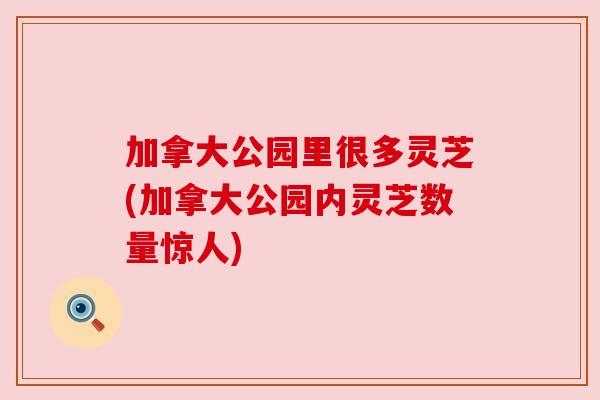 加拿大公园里很多灵芝(加拿大公园内灵芝数量惊人) 加拿大公园里很多灵芝(加拿大公园内灵芝数量惊人)