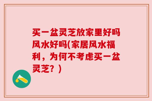 买一盆灵芝放家里好吗风水好吗(家居风水福利，为何不考虑买一盆灵芝？)
