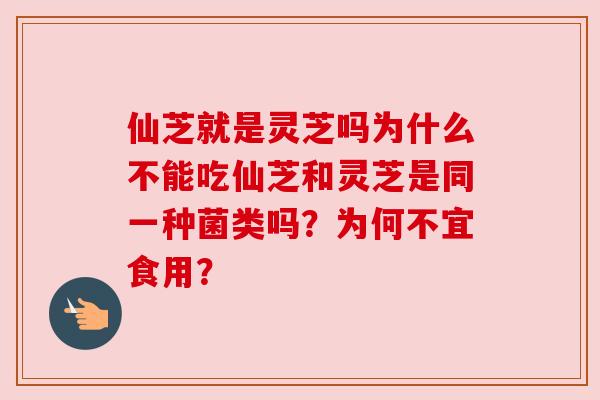 仙芝就是灵芝吗为什么不能吃仙芝和灵芝是同一种菌类吗?为何不宜食用? 仙芝就是灵芝吗为什么不能吃仙芝和灵芝是同一种菌类吗?为何不宜食用?
