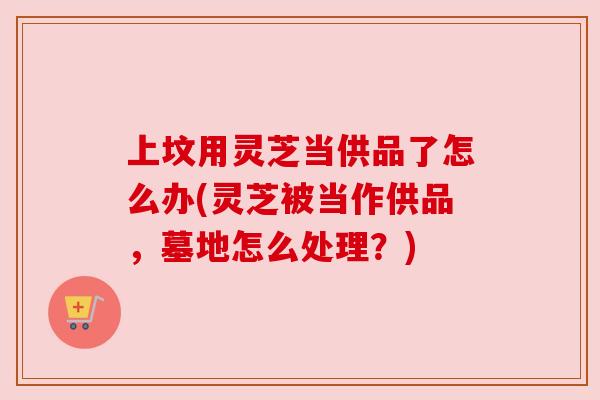 上坟用灵芝当供品了怎么办(灵芝被当作供品,墓地怎么处理?) 上坟用灵芝当供品了怎么办(灵芝被当作供品,墓地怎么处理?)